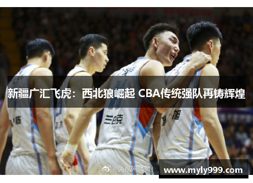 新疆广汇飞虎:西北狼崛起 CBA传统强队再铸辉煌 新疆广汇飞虎:西北狼崛起 CBA传统强队再铸辉煌